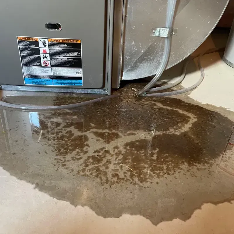 Appliance Leak Cleanup in Oak Grove, LA